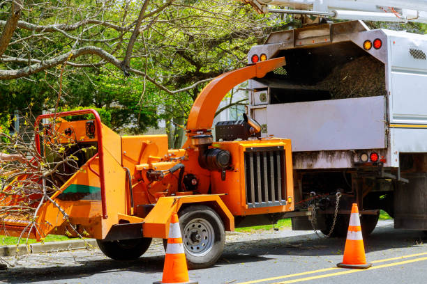 Lawn Drainage Solutions in Santa Clara, UT